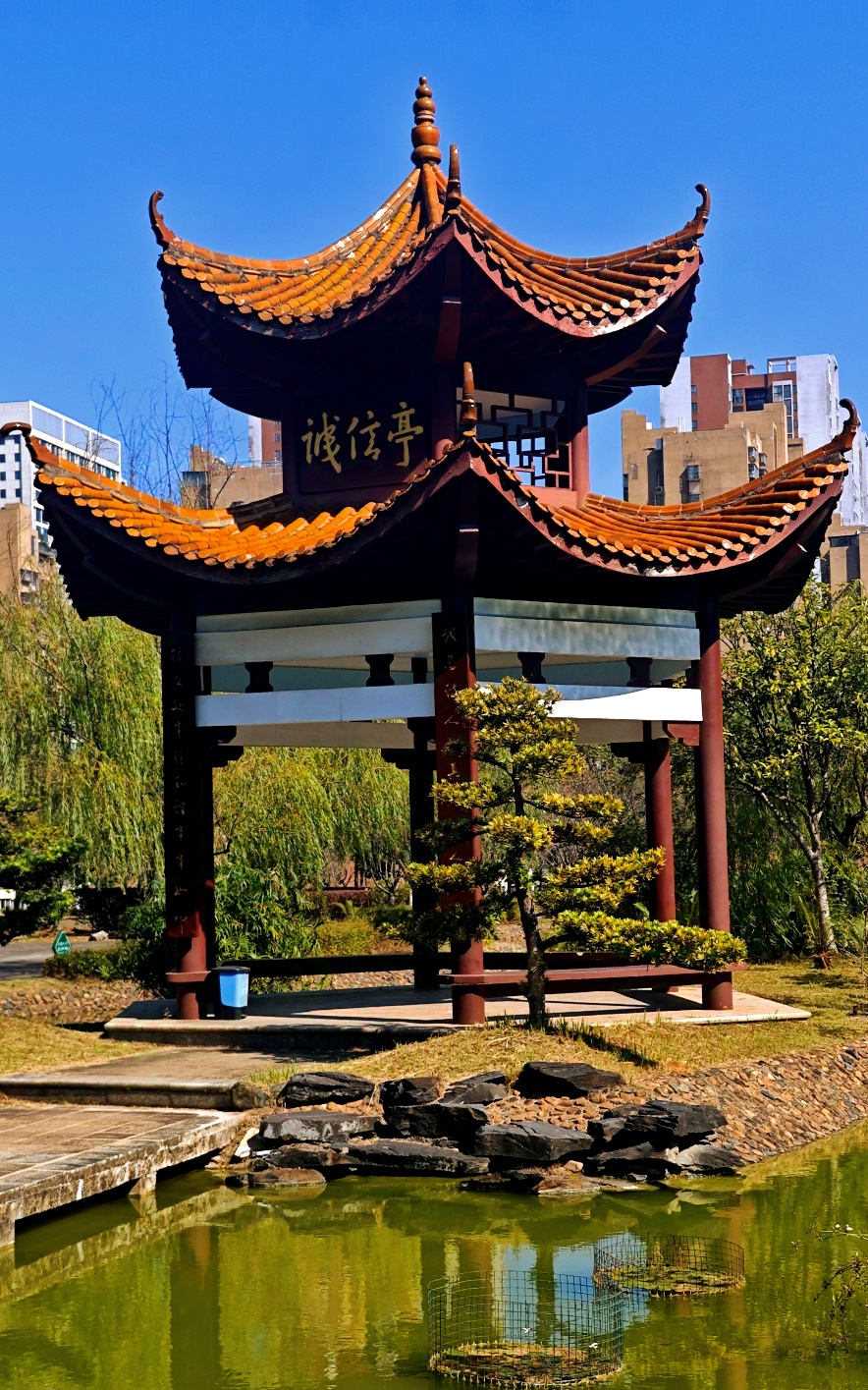 作品《做诚信之人 铸法治之国》.png