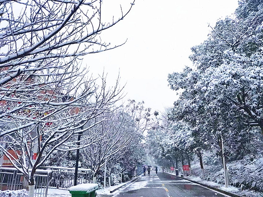 IMG_3137(20211227-231701)_副本.jpg