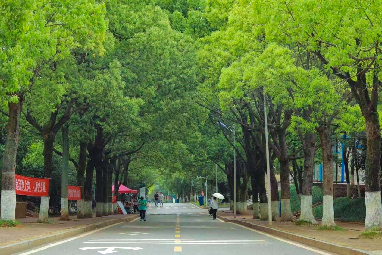 长兴路1.jpg